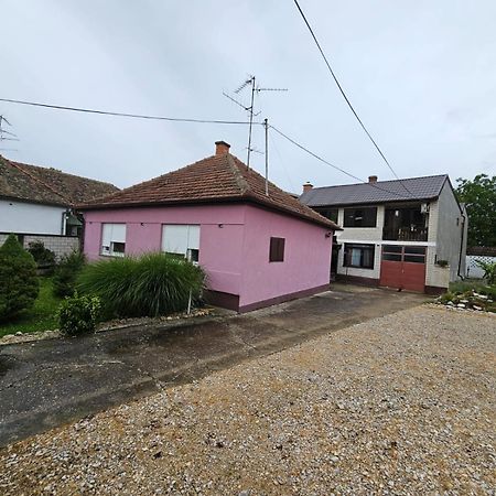 Apartmani, Sobe Ziza Bezdan Esterno foto