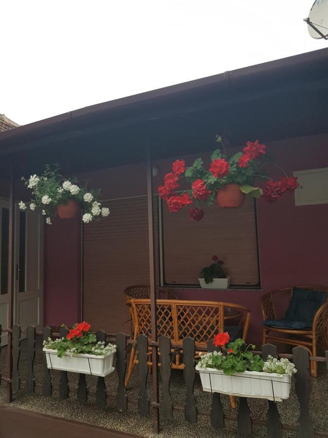 Apartmani, Sobe Ziza Bezdan Esterno foto