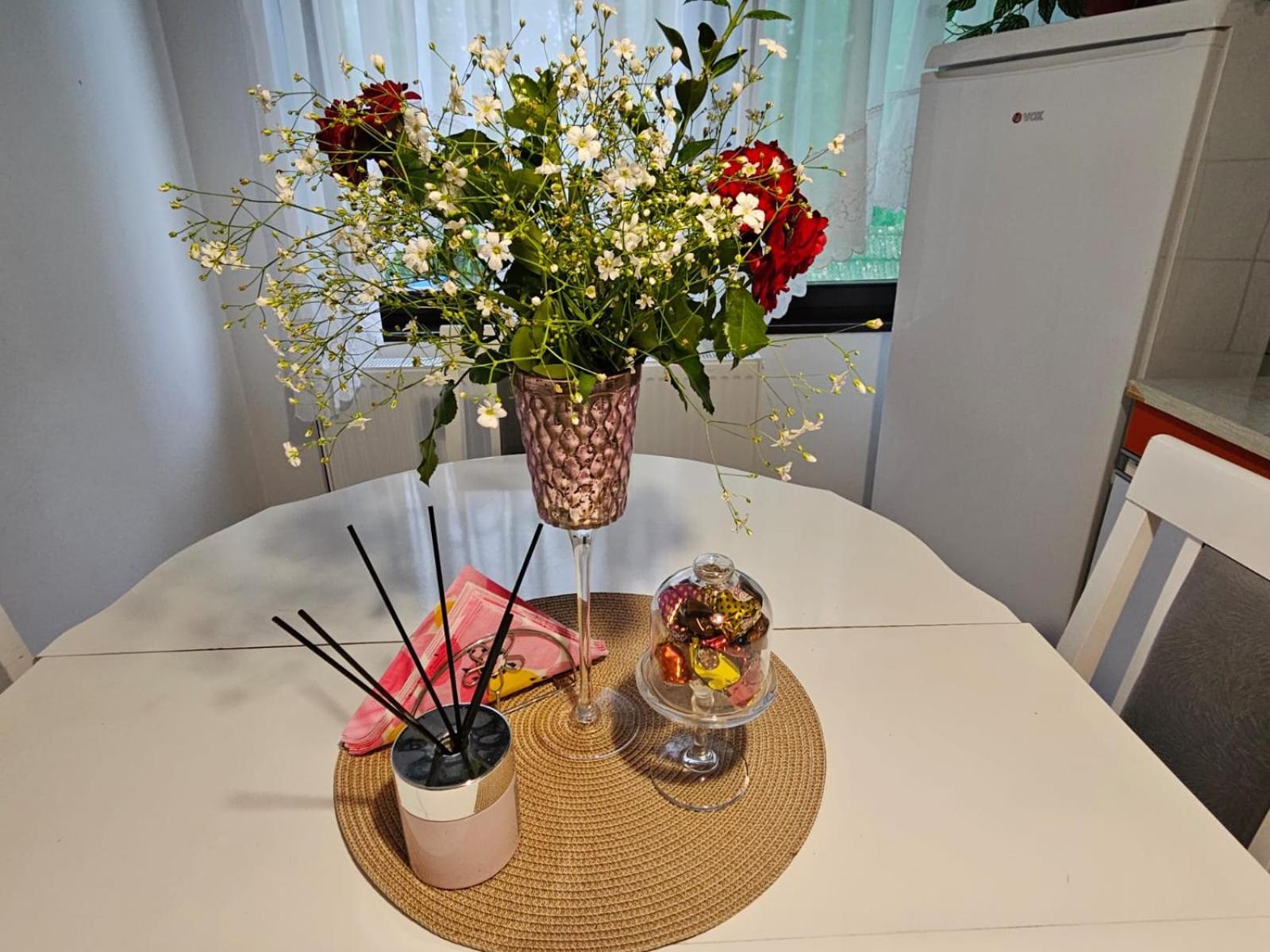 Apartmani, Sobe Ziza Bezdan Esterno foto